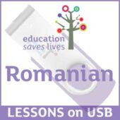 Set of Romanian Lessons on USB