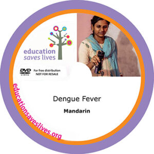 Mandarin: Dengue Fever lesson